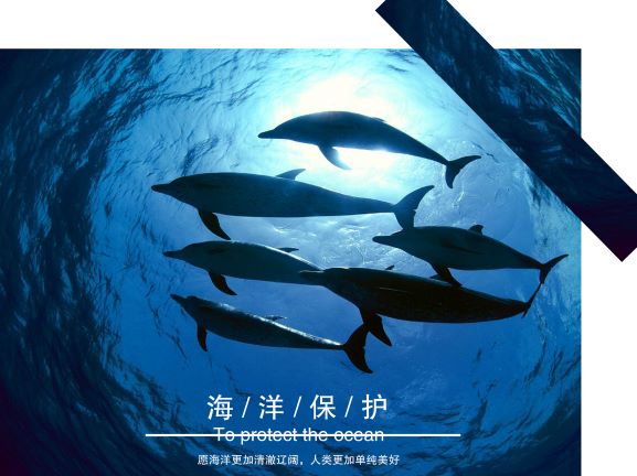 0198-海洋?；ず１?刘向欣等)(图文)5.jpg