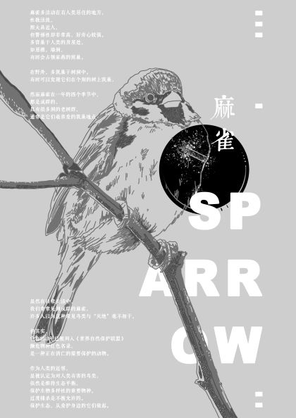 0315-早安，亡灵(郑萱)(图文)2.麻雀.jpg