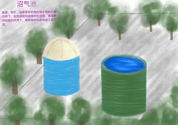 0387-能源、生活与绿色发展不可分割(张奕玮)(图文）7沼气.jpg