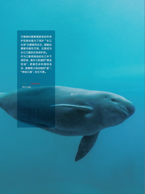 大江之歌9.png