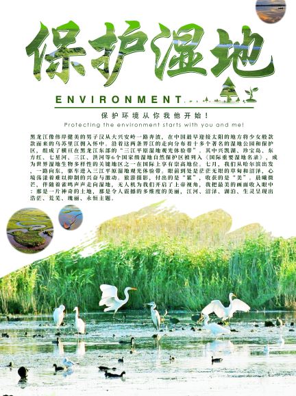 湿地的?；ぜ湟庖?.jpg
