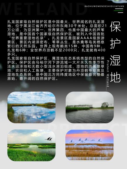 湿地的?；ぜ湟庖?.jpg