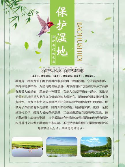 湿地的?；ぜ湟庖?.jpg