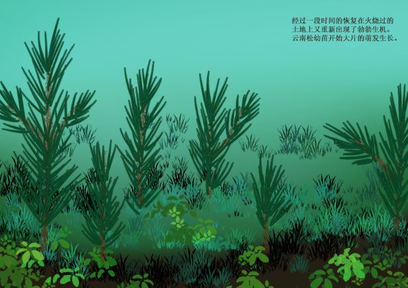 生态科普画3.jpg