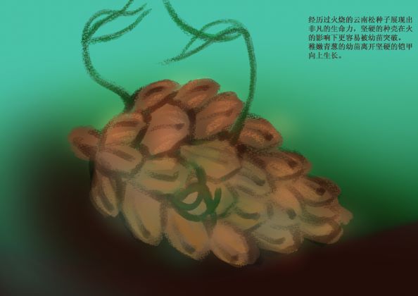 生态科普画4.jpg