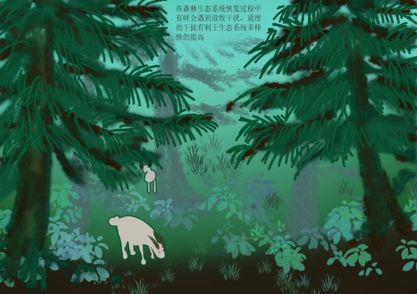 生态科普画6.jpg