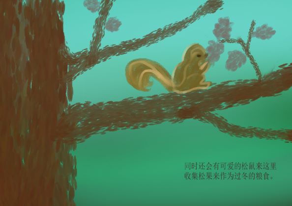 生态科普画7.jpg