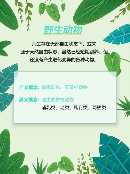 ?；ひ吧铮ど以?！2.jpg