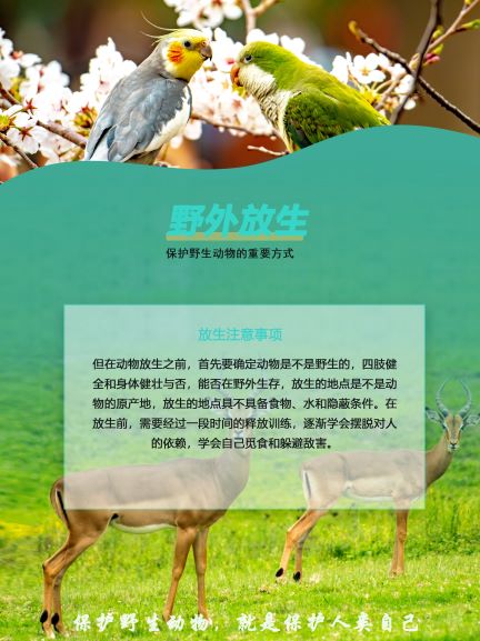 ?；ひ吧铮ど以?！10.jpg