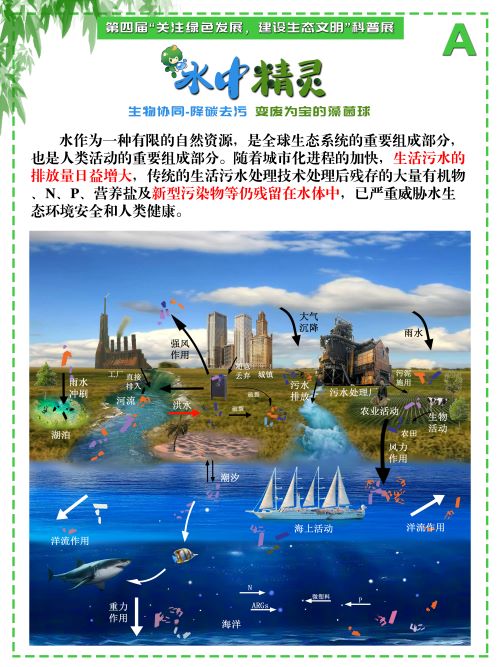 0243-水中精灵(李鑫、潘翔、傅麒捷、甘咏笛，指导老师：侯梅芳、吉喜燕)(图文)A.jpg