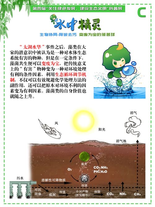 0243-水中精灵(李鑫、潘翔、傅麒捷、甘咏笛，指导老师：侯梅芳、吉喜燕)(图文)C.jpg