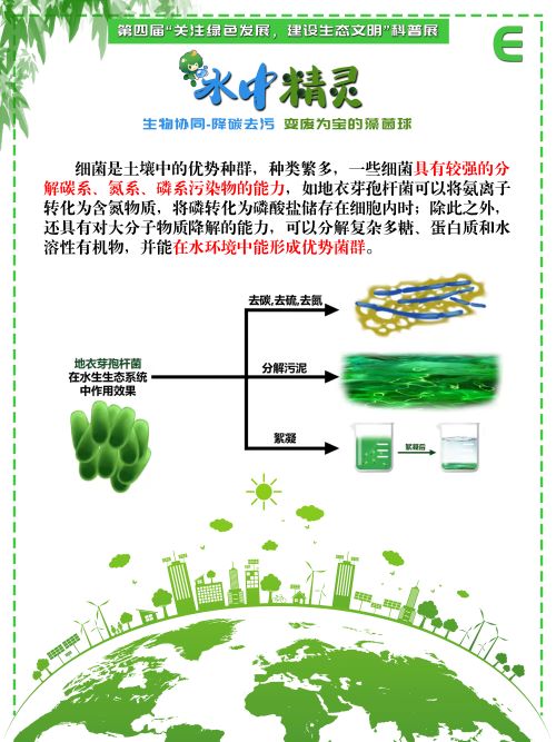 0243-水中精灵(李鑫、潘翔、傅麒捷、甘咏笛，指导老师：侯梅芳、吉喜燕)(图文)E.jpg