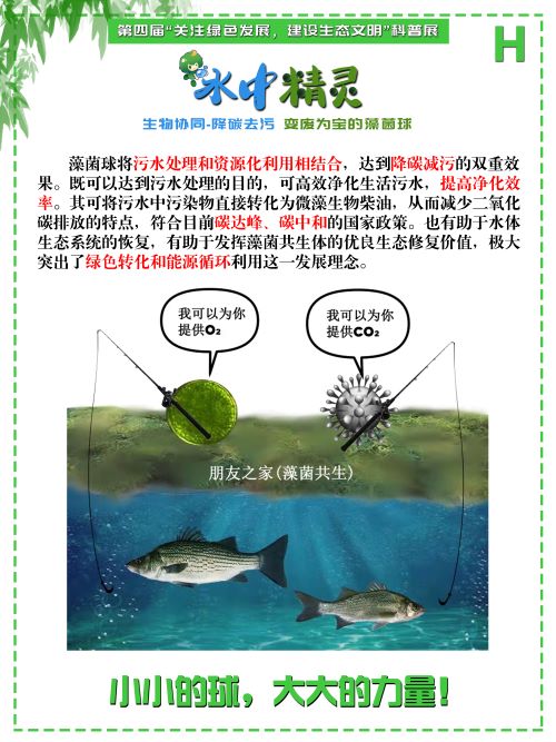 0243-水中精灵(李鑫、潘翔、傅麒捷、甘咏笛，指导老师：侯梅芳、吉喜燕)(图文)H.jpg