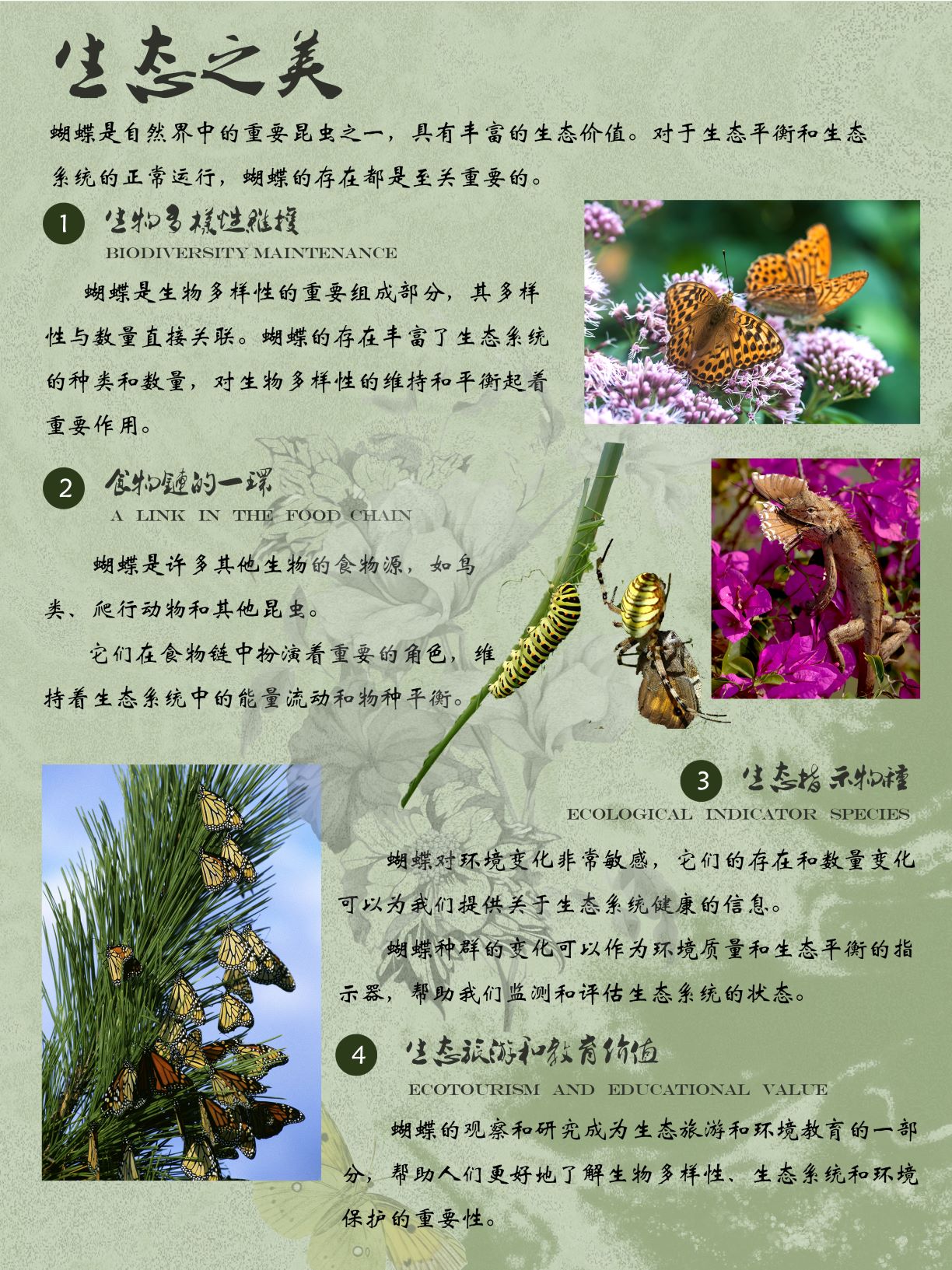 0276-蝶美岂止形色(赵贤、朱致远)(图文)6.生态之美.jpg