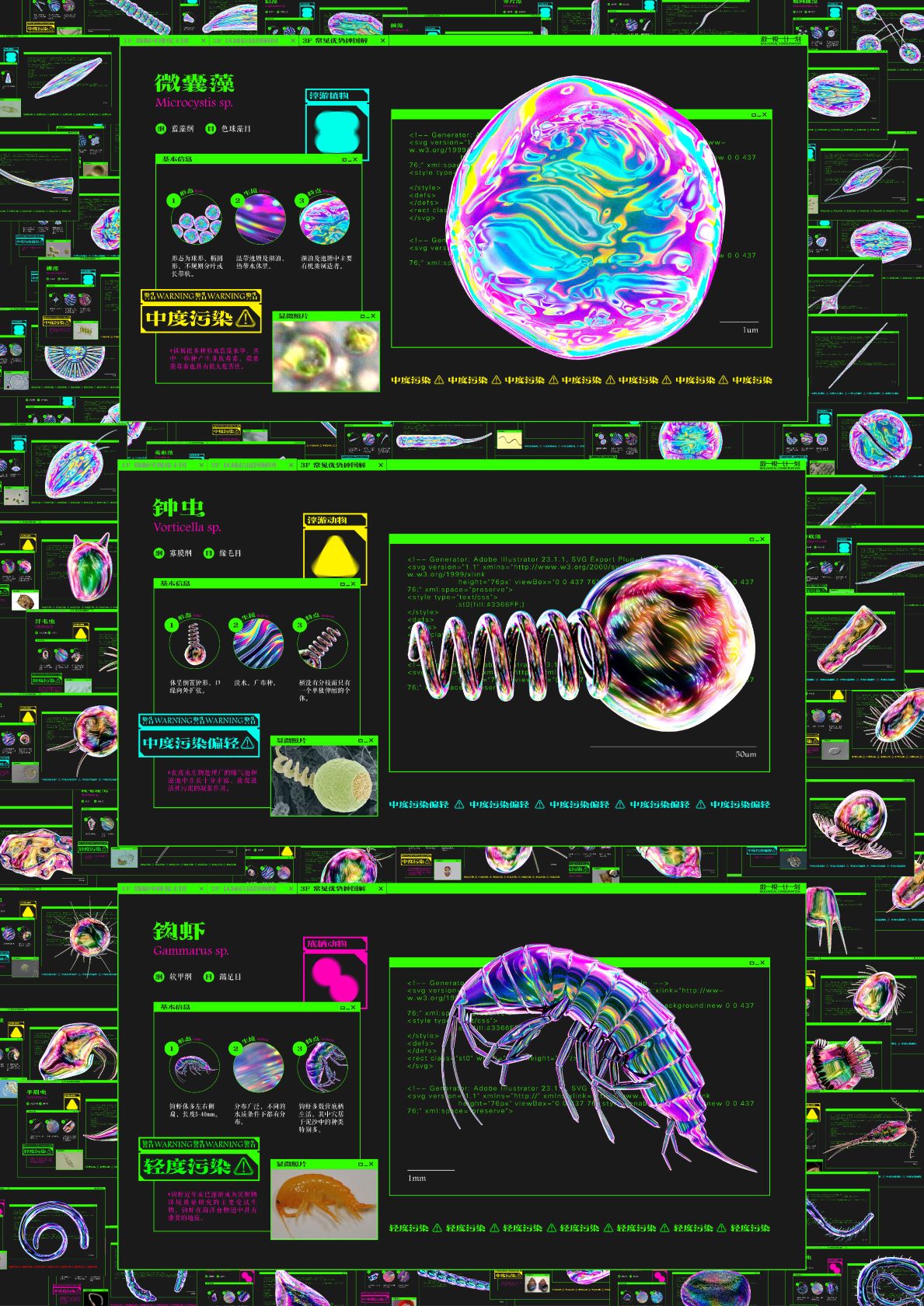 0008-保卫长江(黄政祺)(图文)3_微生物优势种信息图形设计.jpg
