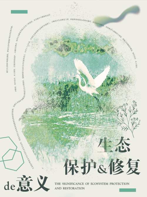 0013-生态系统的?；ず托薷?赵一诺)(图文)4.png