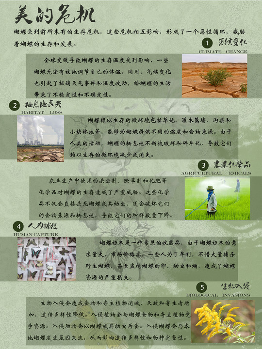 0276-蝶美岂止形色(赵贤、朱致远)(图文)8.美的?；?jpg